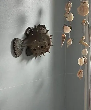 펜션 Eterna Primavera, A 40m De La Piscina Natural