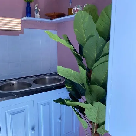 Eterna Primavera, A 40m De La Piscina Natural 펜션